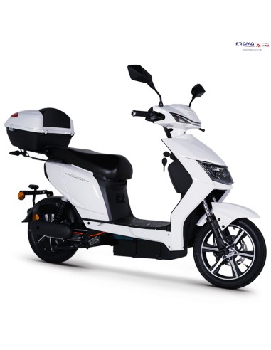 Scooter Elettrico Ncx modello Eco...