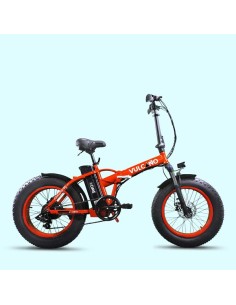 Elettrica-Bike bici...