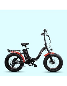 Elettrica-Bike bici...