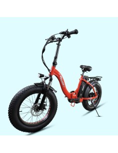 Elettrica-Bike bici...