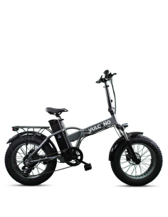 Elettrica-Bike bici...