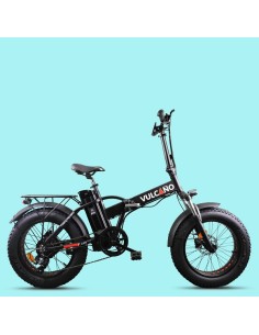 Elettrica-Bike bici...