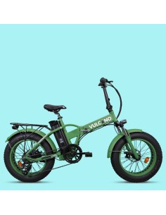 Elettrica-Bike bici...