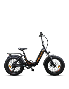 Elettrica-Bike bici...