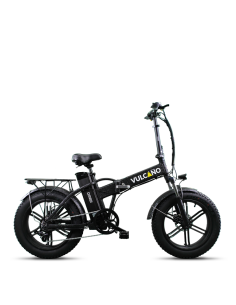 Elettrica-Bike bici...