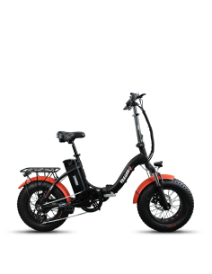 Elettrica-Bike bici...