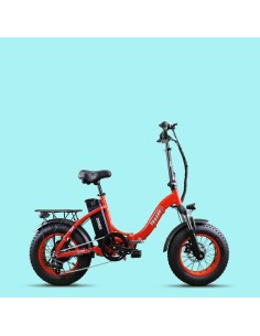 Elettrica-Bike bici...