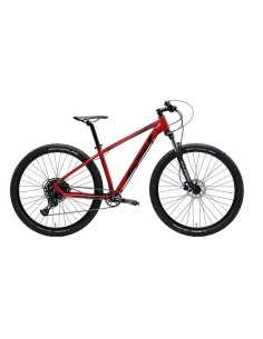 Cicliadriatica bici Wing M...