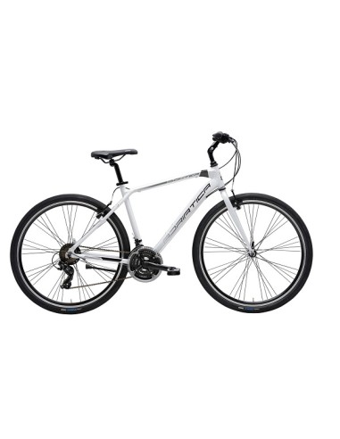 Cicliadriatica bici Boxter FY Man...