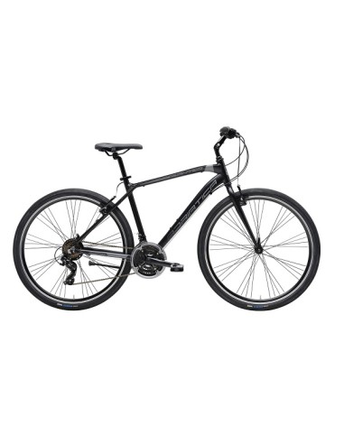 Cicliadriatica bici Boxter FY Man...