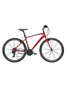 Cicliadriatica bici Boxter...