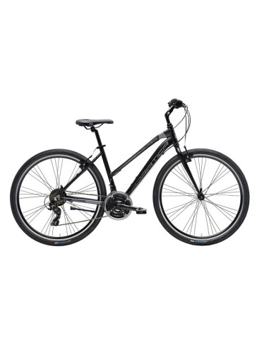 Cicliadriatica bici Boxter FY Lady...